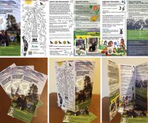 Fylde Council tri-fold brochure design